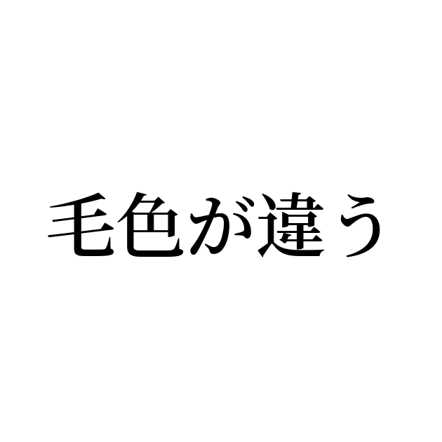 【2026年最新解剖】「毛色が違う」人が組織を勝たせる時代へ——言葉の正しい意味と、ビジネス・現場で選ばれる“異質さ”の正体