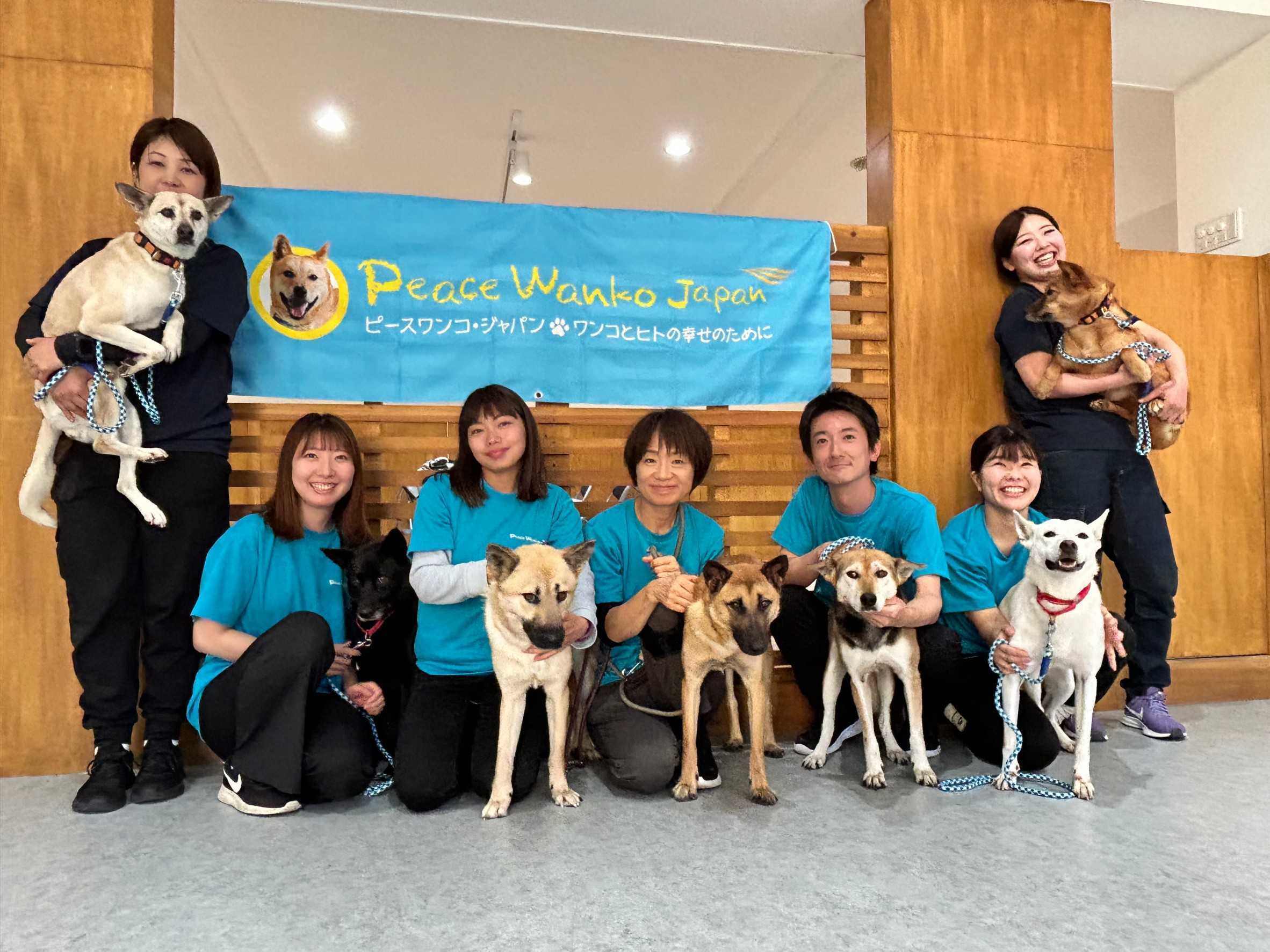 犬の殺処分ゼロへ挑んだ10年、保護犬救済が描く持続可能な共生社会の未来【2026年最新ルポ】
