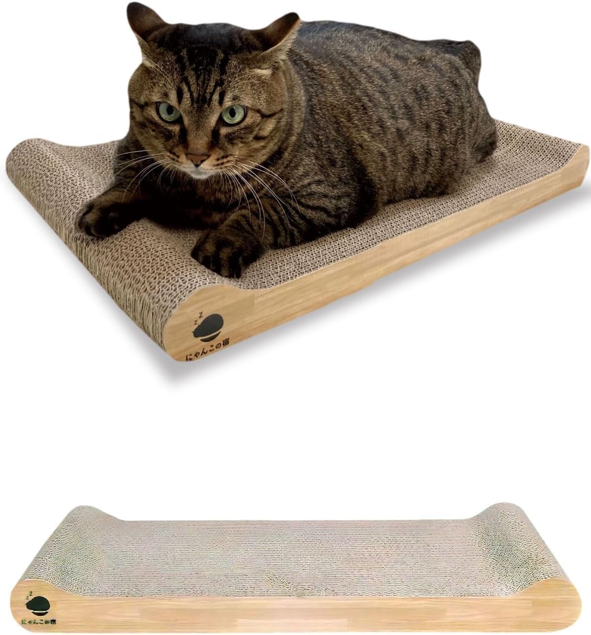 猫が爪をとぐ本当の理由とは？家具を守る最新対策としつけ完全版