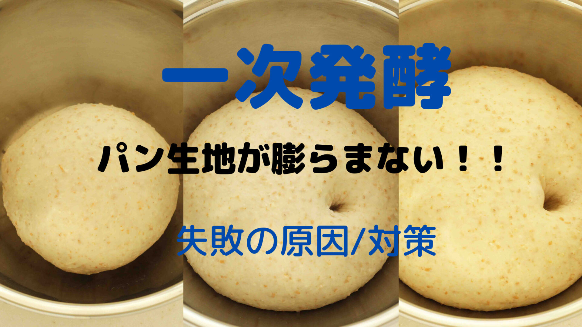 パン作りの一次発酵が膨らまない？プロが教える極秘リカバリー術