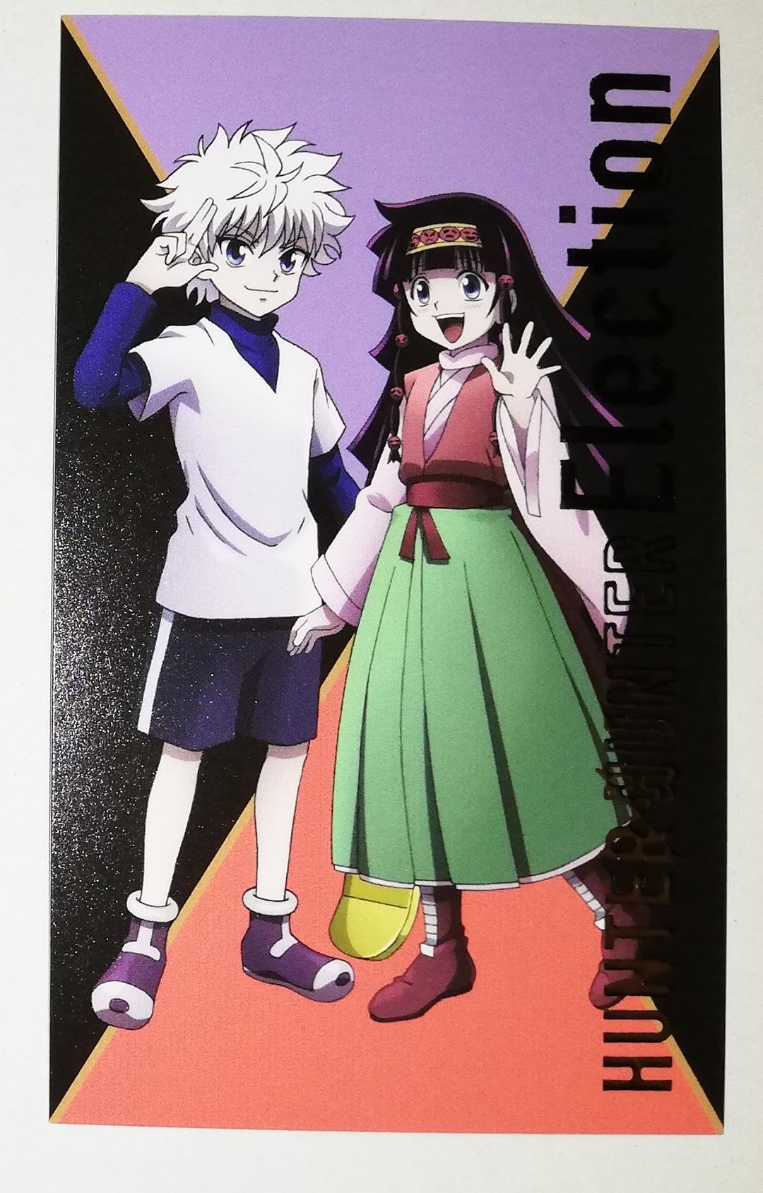 【ハンターハンター】アルカの性別とナニカの正体！暗黒大陸との関係を解明