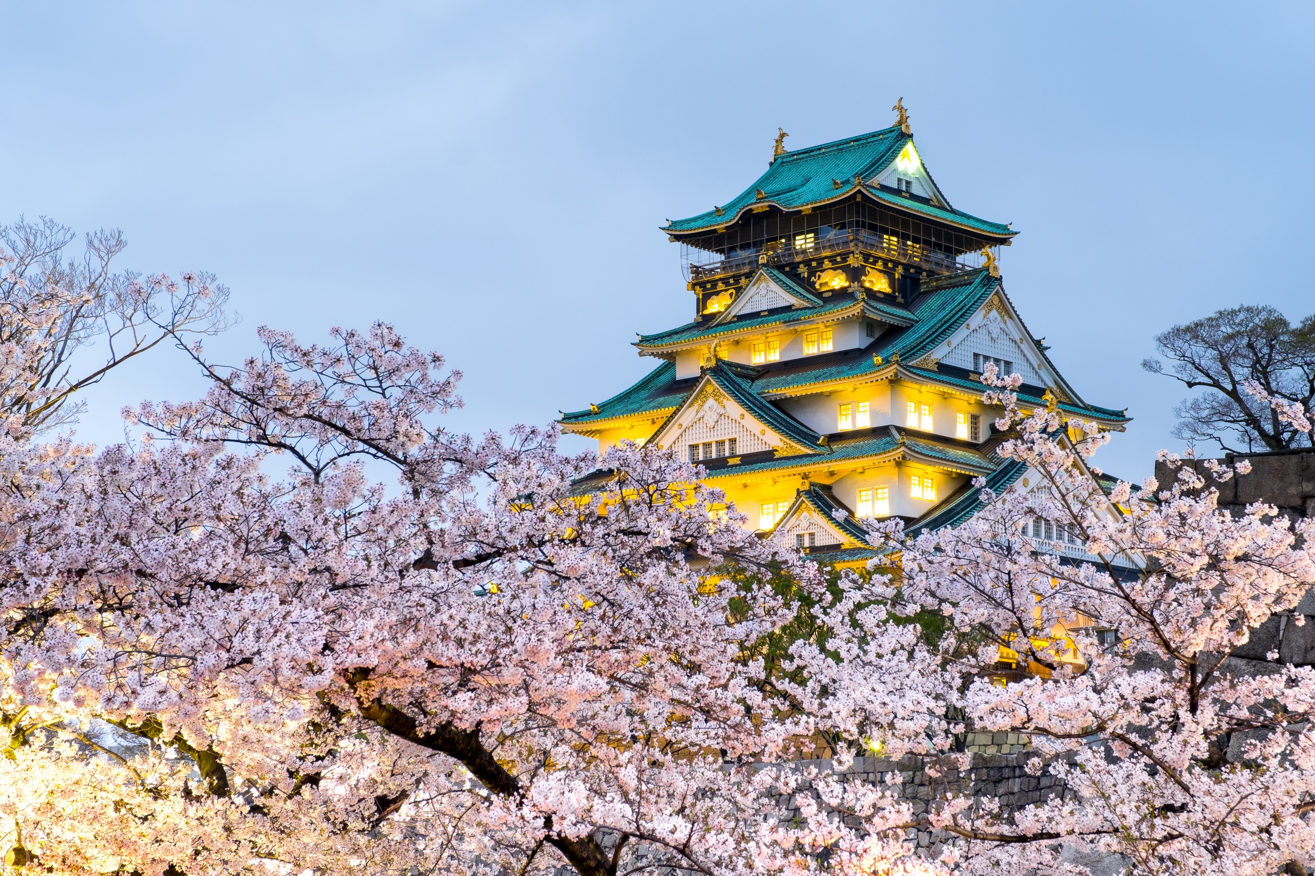 世界が熱狂するChâteau D'osakaの真相と2026年観光ガイド