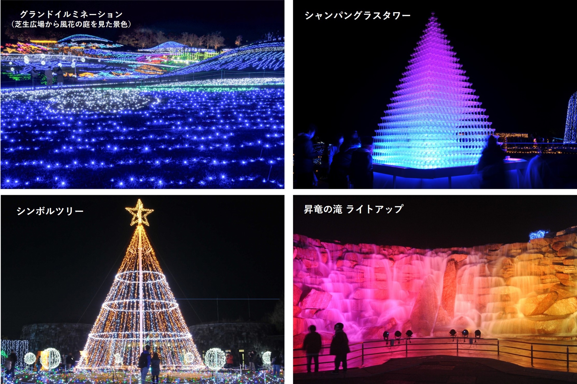 まんのう公園イルミ2026徹底解剖｜混雑回避の裏ワザと見どころ検証
