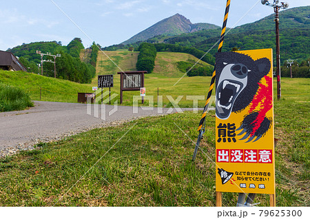 【画像あり】 スキー 場 熊 出没 最新出演情報まとめ #973