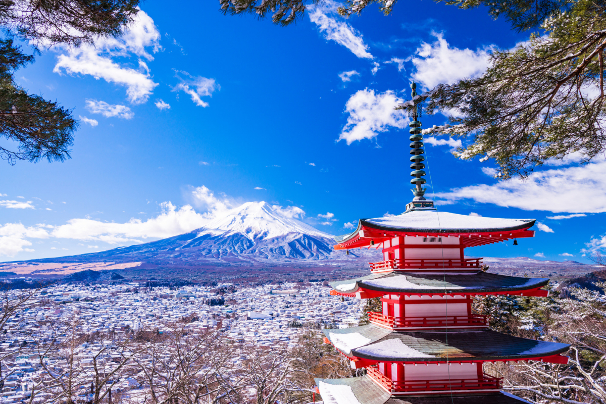 富士山と五重塔の絶景は今どう変わった？2026年最新規制と新倉山浅間公園を100%楽しむ取材記