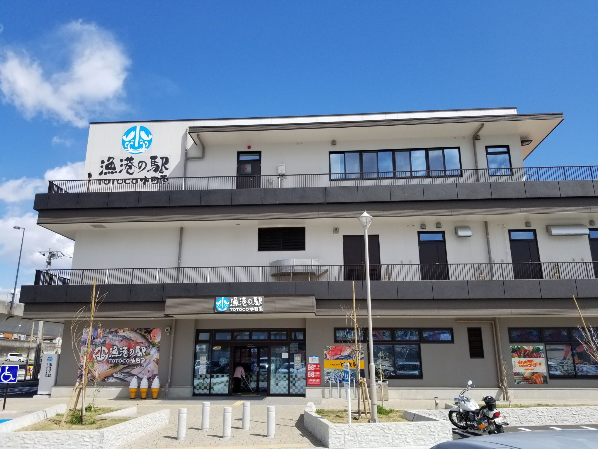 小田原漁港とと丸食堂の頂上丼＆行列回避の裏ワザを現地取材！