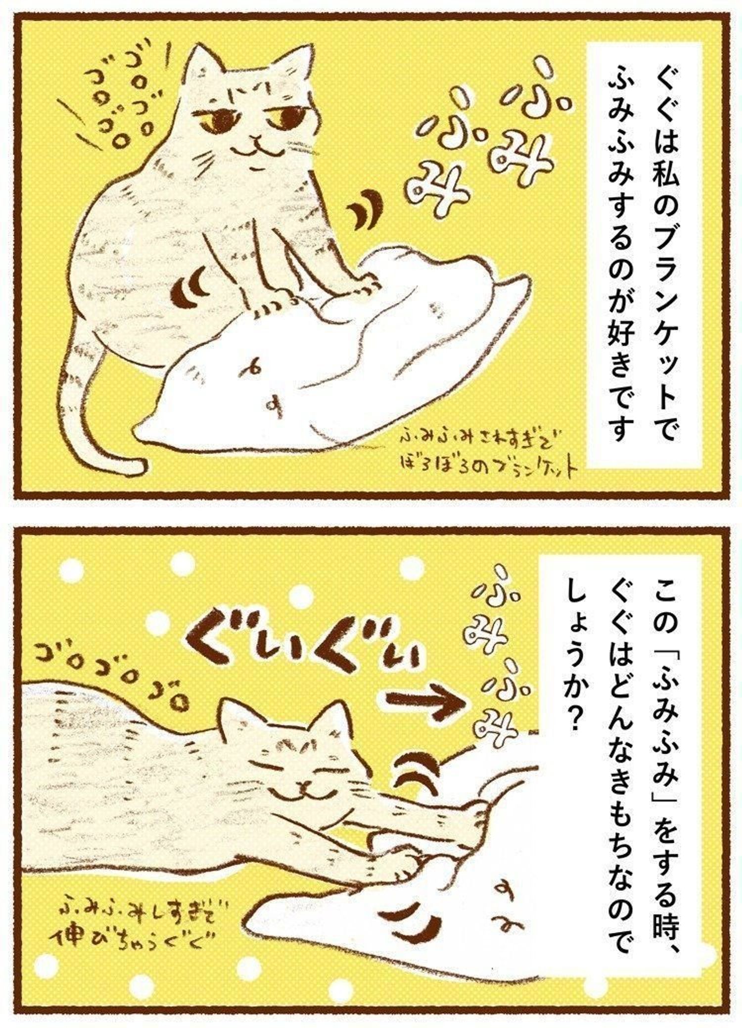 猫がふみふみする理由と心理とは？毛布を噛む原因や甘えサインを解説