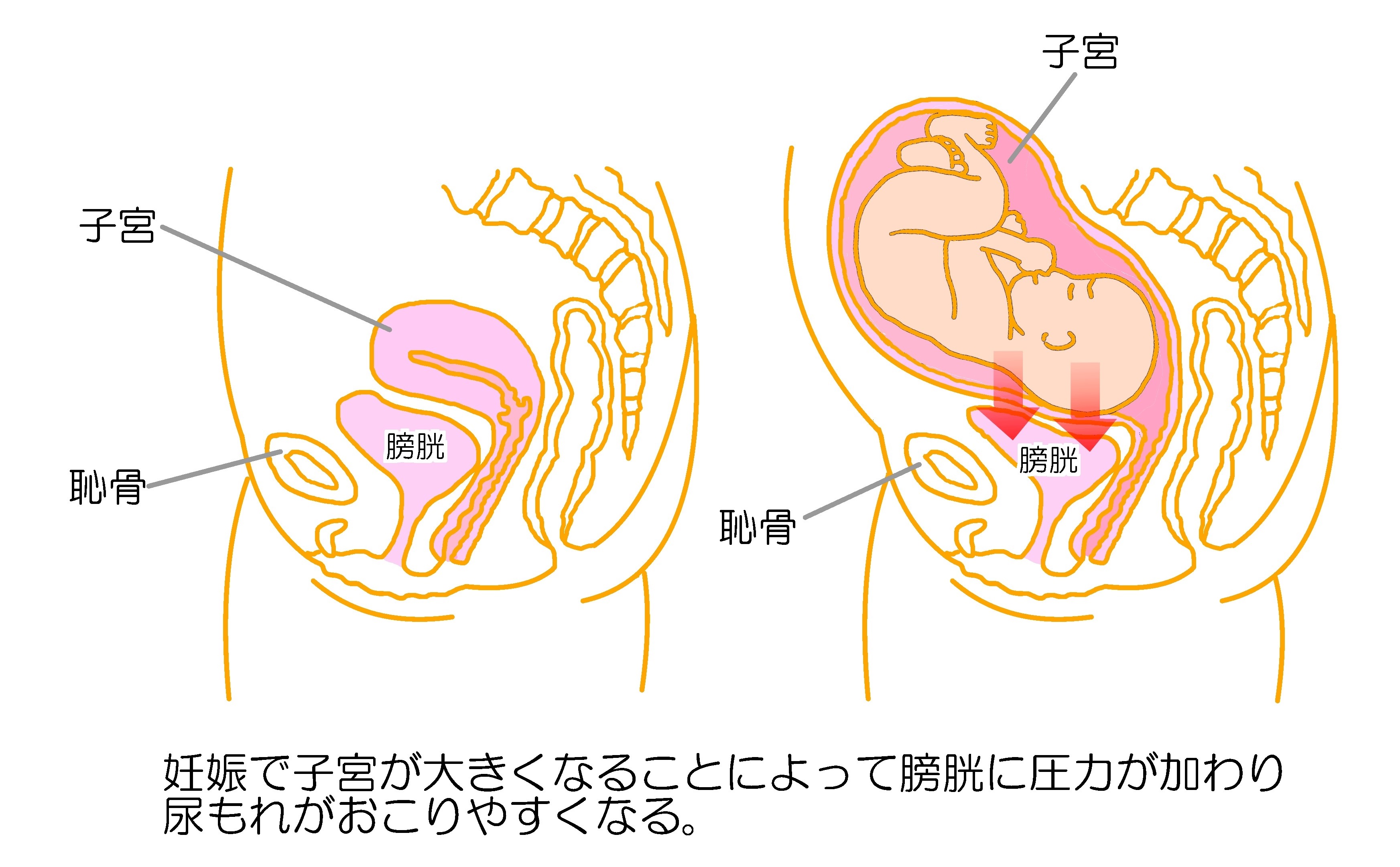 車エアコンガス補充費用はどこが安い？店舗別相場と冷えない原因解説