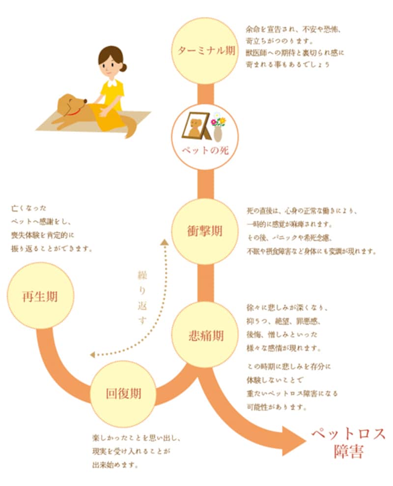 ペットロスの乗り越え方｜涙が止まらない理由と後悔を手放す回復ステップ