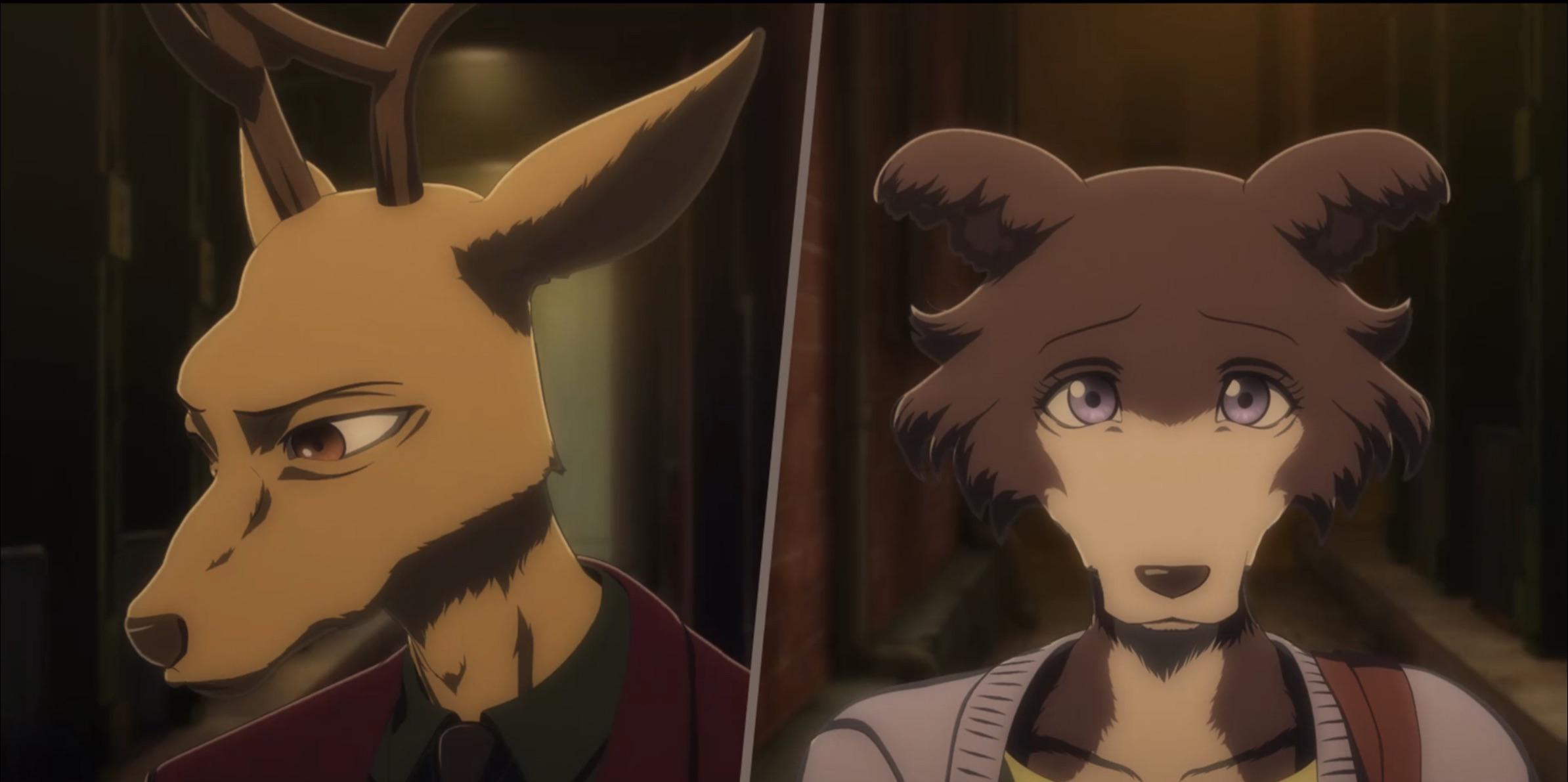 『Beastars』ジュノとルイの結末！別れた理由と切ないキスを徹底考察