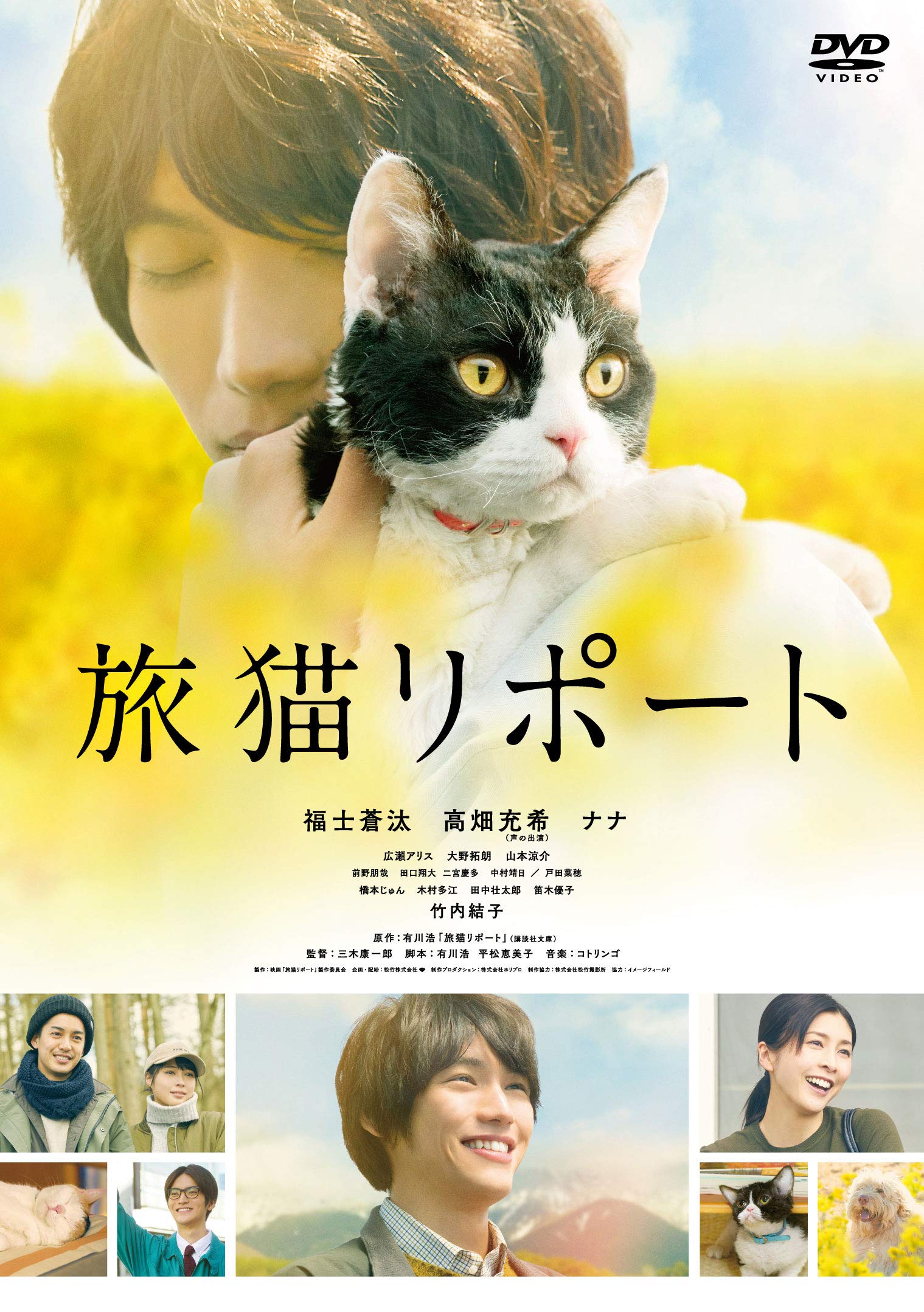『旅猫リポート』結末の真相と号泣の理由｜映画と原作の違いを徹底考察