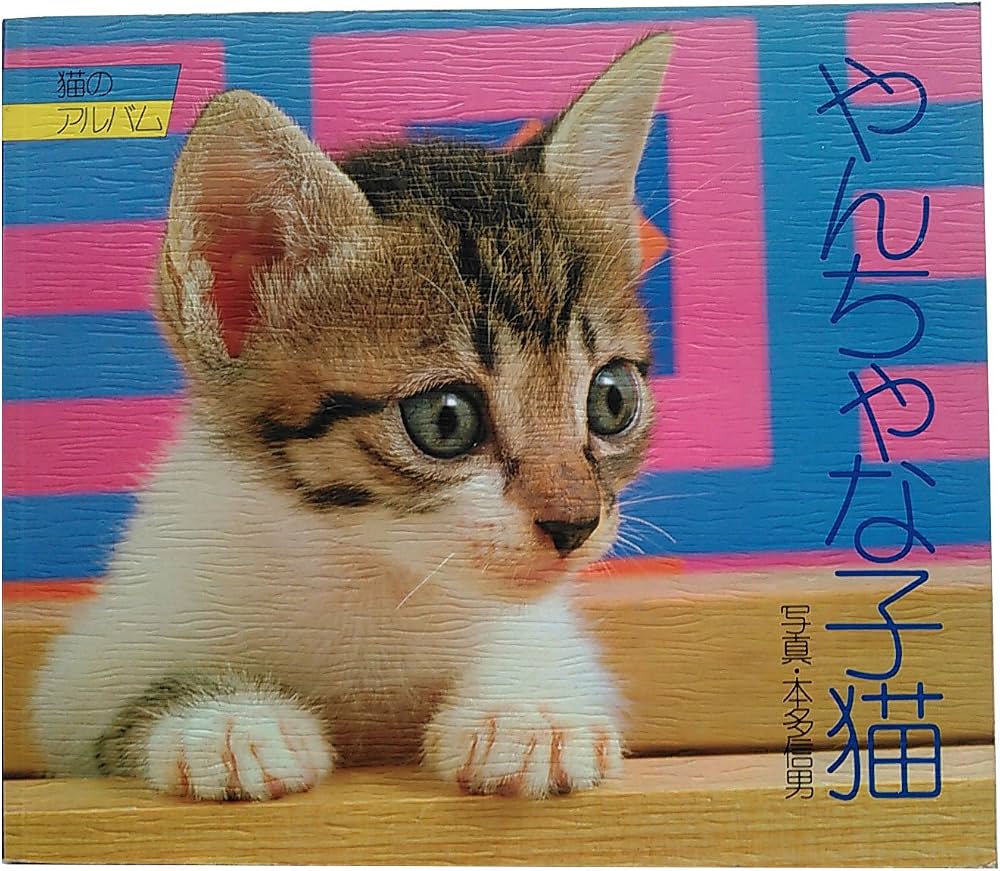暴れ回るやんちゃな子猫に疲れた方へ｜噛み癖の理由と正しい対処法