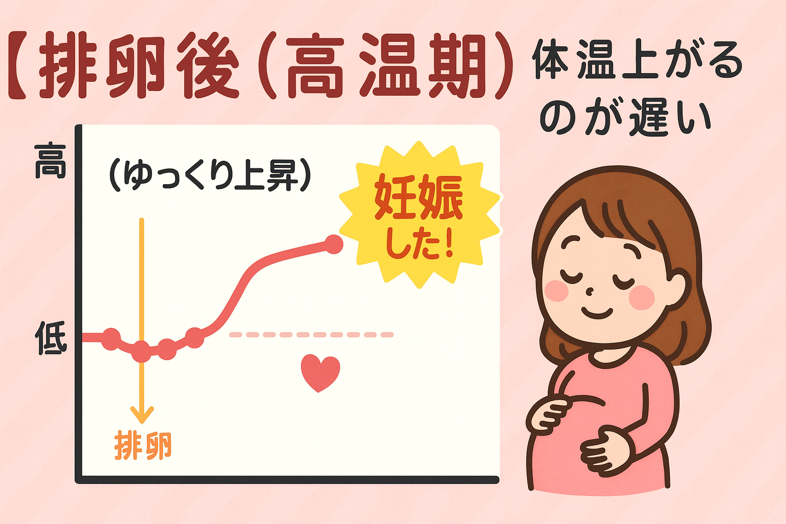 排卵後に体温が上がるのが遅い原因とは？黄体機能不全と妊娠の真相