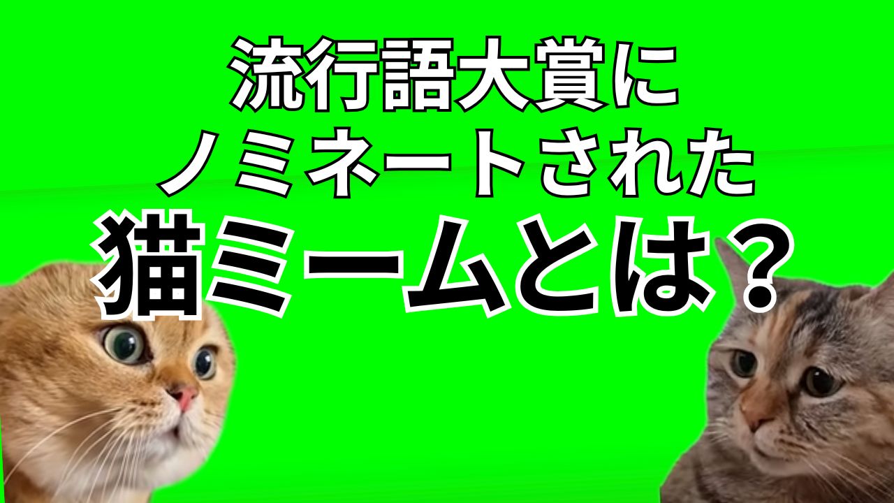ネット文化を飲み込む「共通言語」の正体——2026年、なぜ私たちは同じ画像で笑い、時代を語るのか