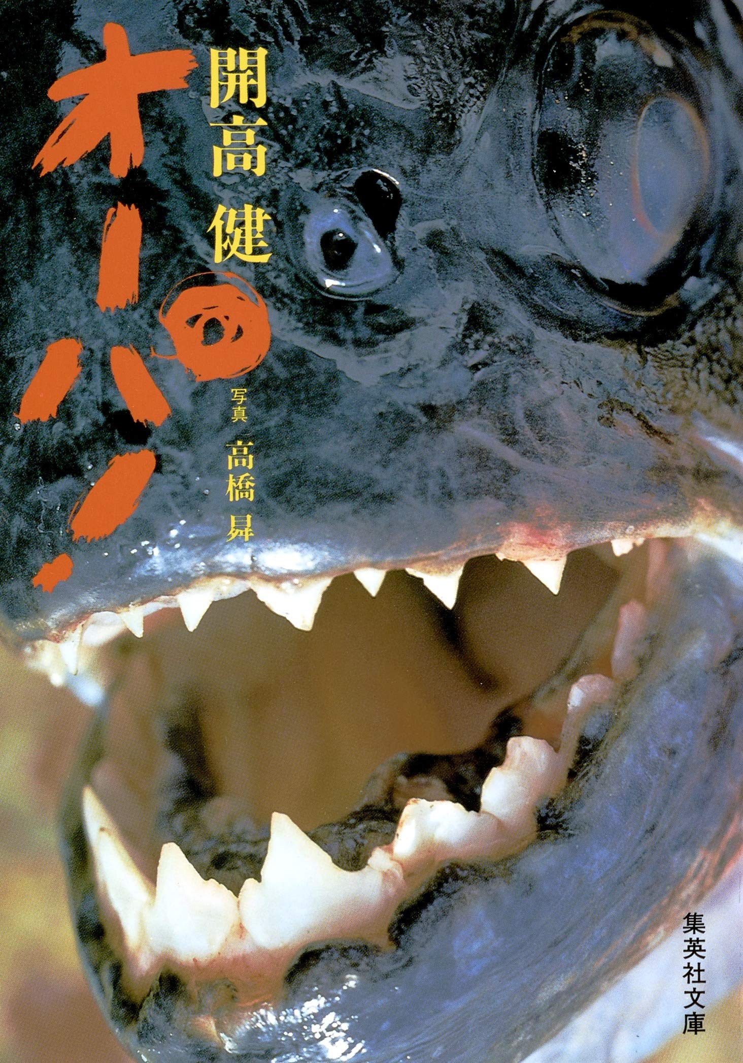 開高健『オーパ！』が今も熱狂を呼ぶ理由と魂震わす名言の真相