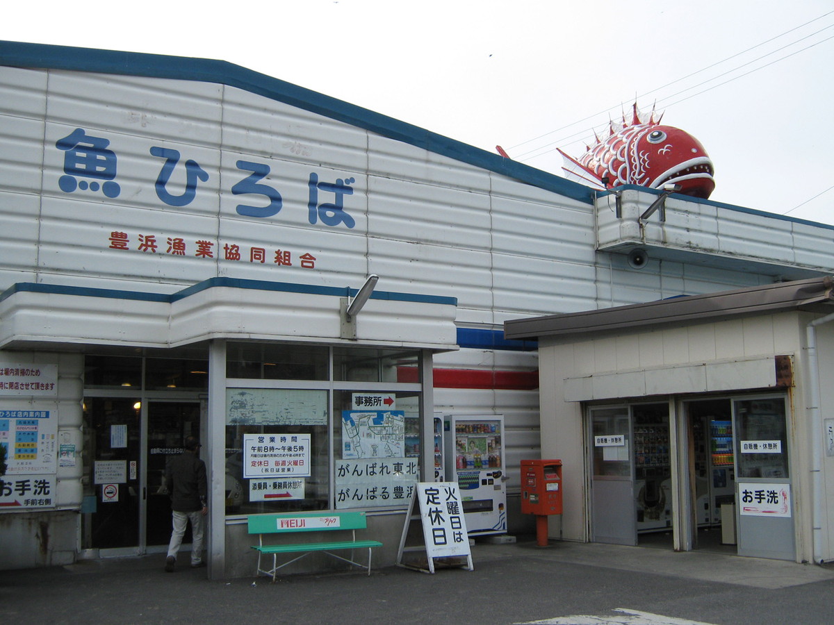 豊浜魚ひろばの評判は本当？海鮮丼・朝市の狙い目とお得攻略の全貌