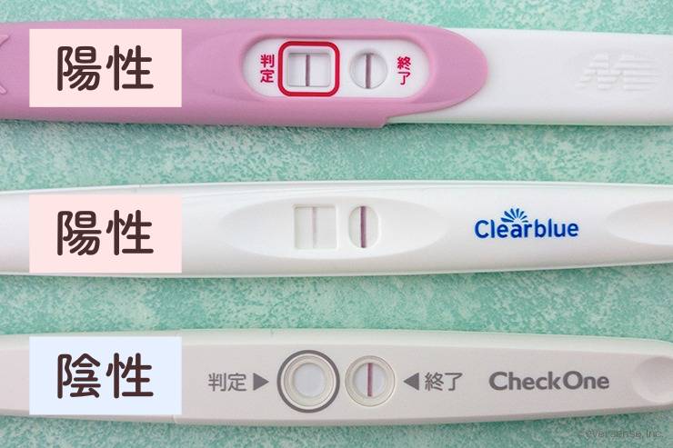 妊娠検査薬「陽性から陰性へ」変わる謎と現実…専門医が明かす化学流産・フック現象・判定結果の真実【2026年最新版】