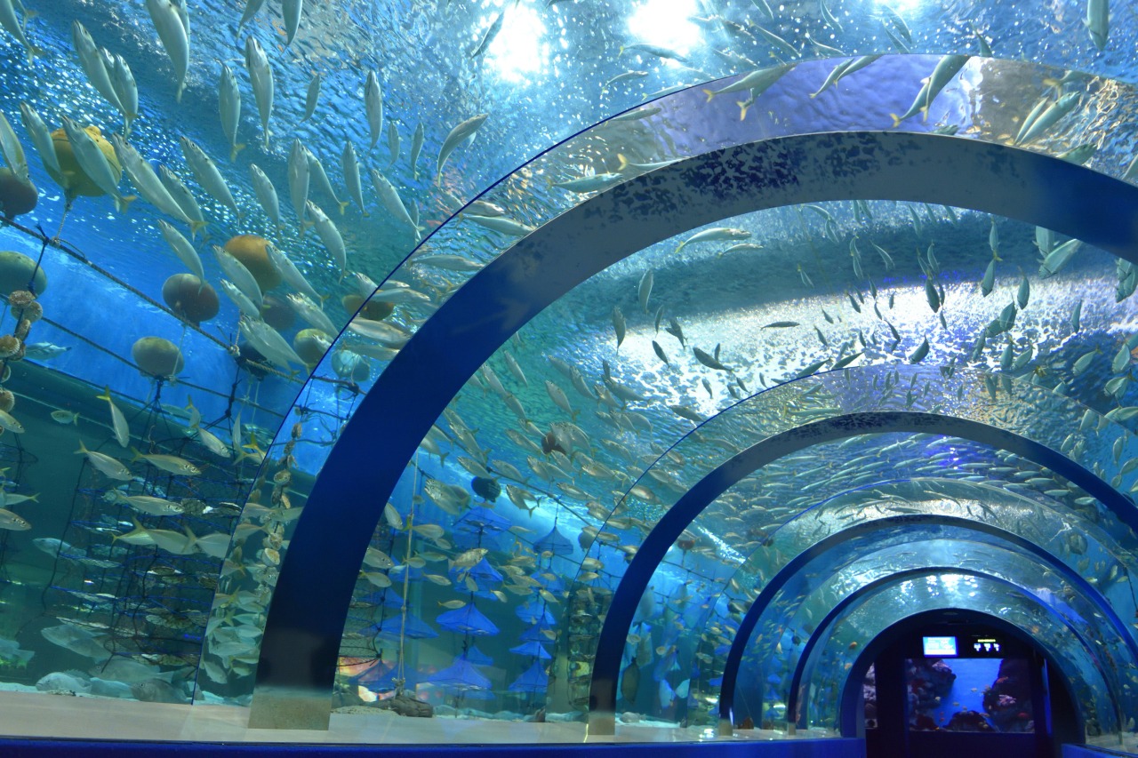 青森県営浅虫水族館の完全攻略法｜見どころと混雑回避を徹底検証