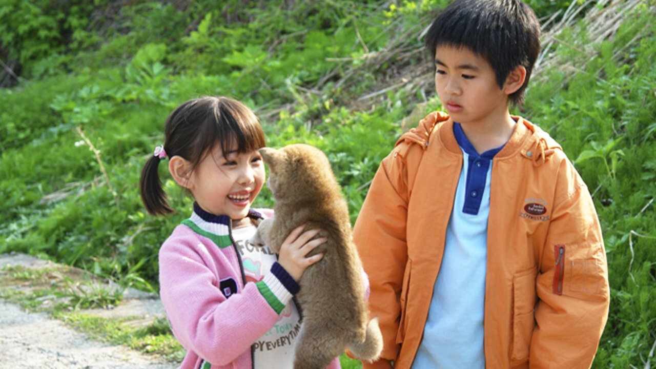 映画『マリと子犬の物語』実話の真相とマリのその後｜奇跡の救出劇の真実