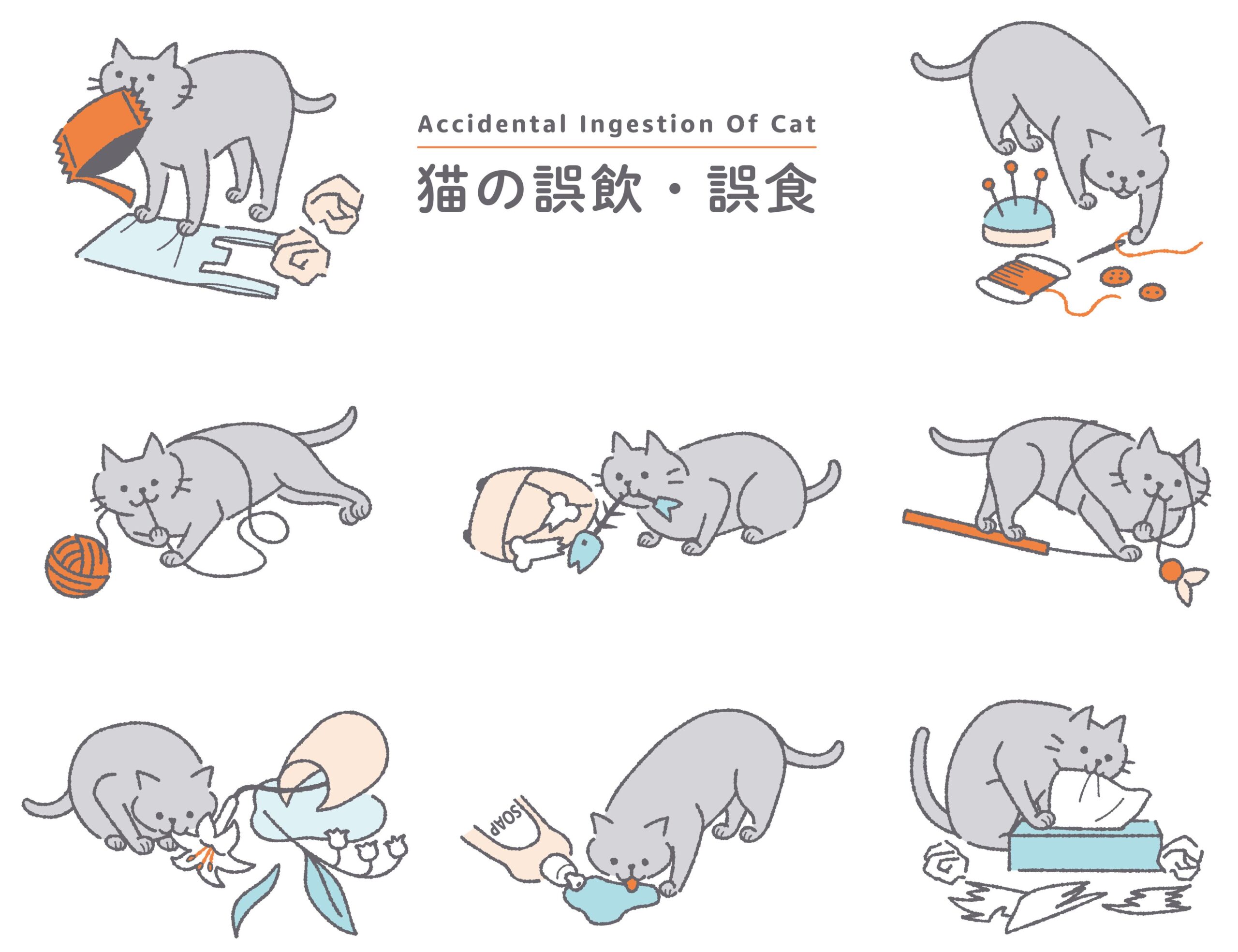 猫の腸閉塞の初期症状と手遅れサイン｜何度も吐く危険性と手術費用相場