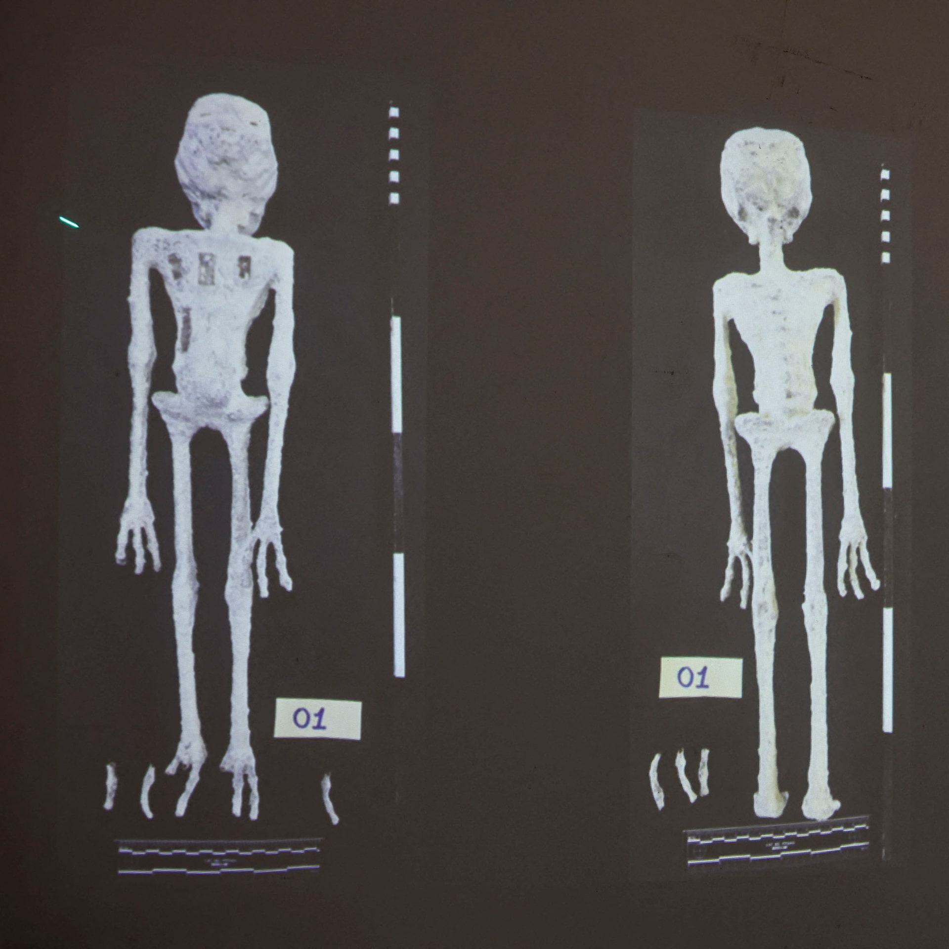 宇宙人や人魚はなぜ作られた？偽物ミイラの衝撃真相と最新科学鑑定