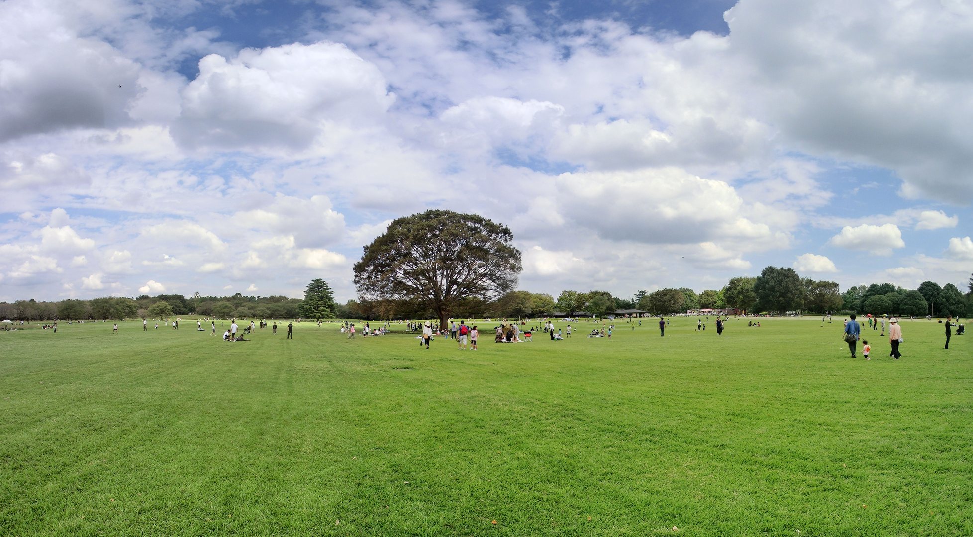 昭和記念公園でキャッチボールは可能？2026年最新ルールと注意点