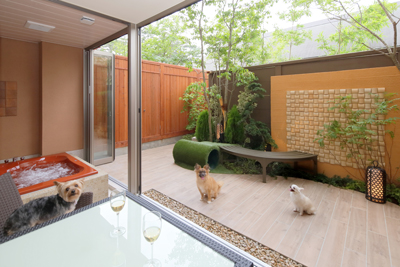 天王寺で愛犬と過ごす極上の休日！2026年最新のドッグカフェ事情とおすすめスポット徹底解説
