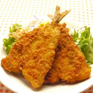 【プロフィール】 フライ に すると 美味しい もの 人気理由と評判まとめ #663