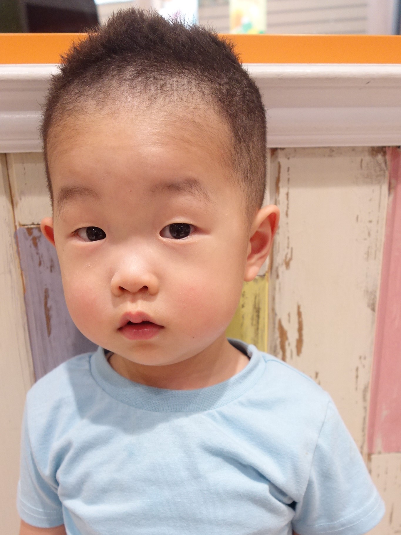2歳児の坊主頭で後悔？髪が濃くなる噂の真相と失敗しない自宅バリカン術