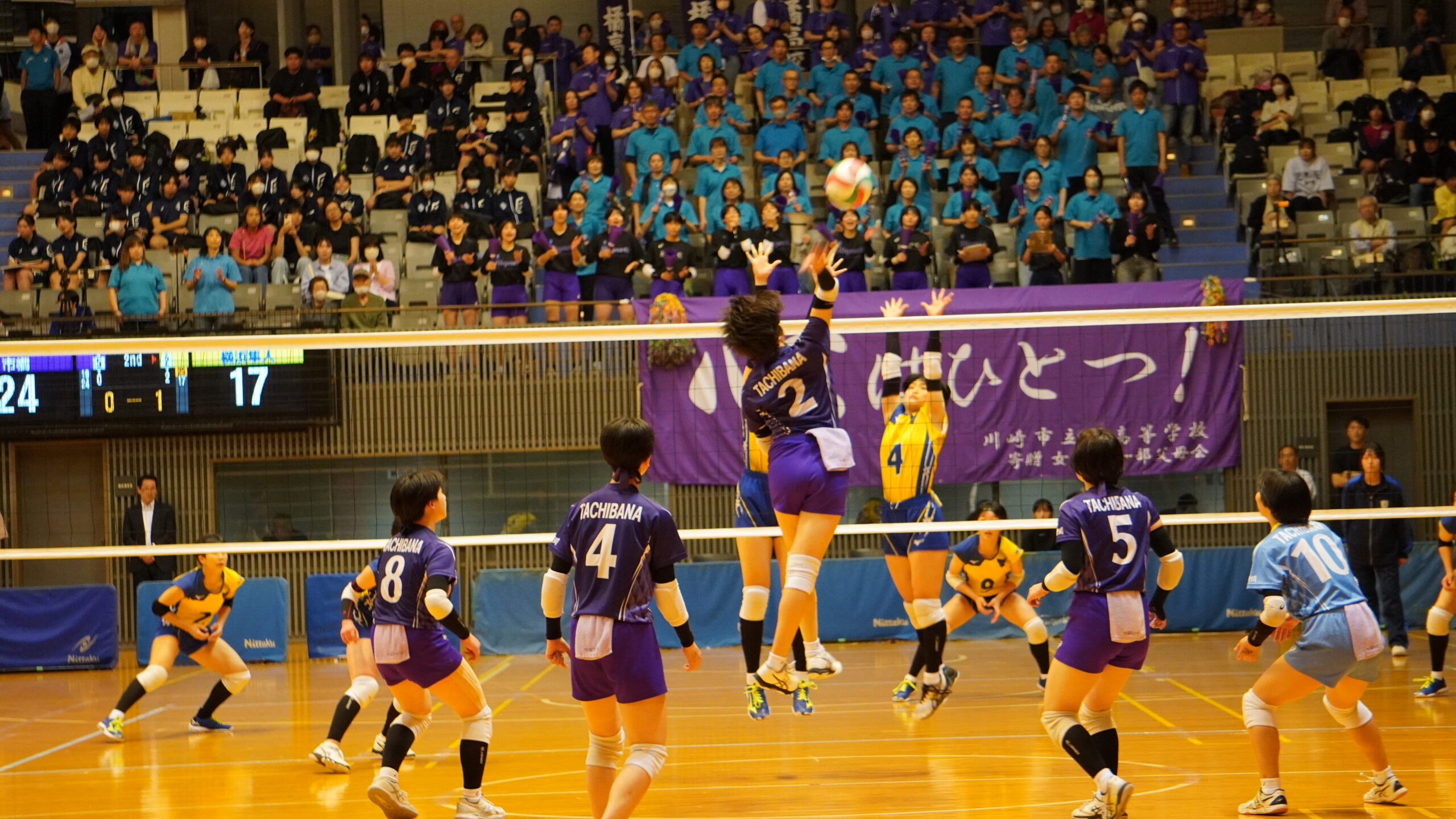 神奈川高校バレー2026最新勢力図！春高・総体予選の行方と注目校