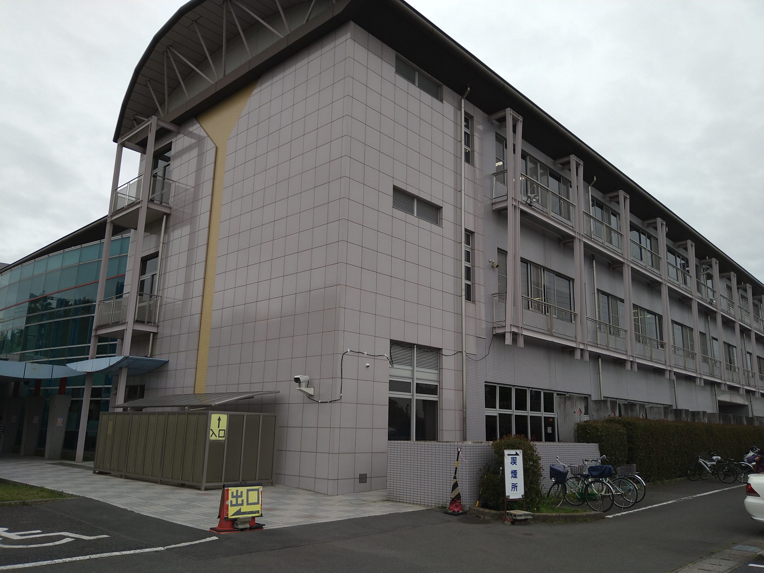 流山運転免許センター完全攻略！日曜混雑回避と予約・手続きの極意