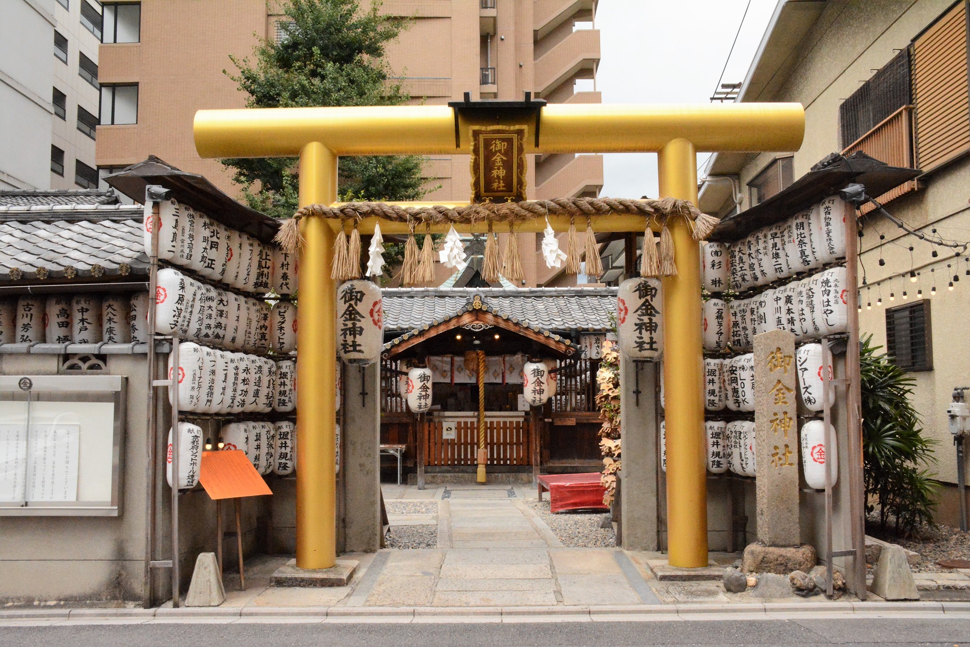 御金神社で宝くじ当選が続出する真相と2026年最新の参拝ガイド