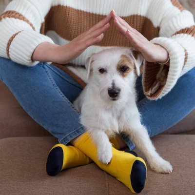 【動画まとめ】 犬 足 の 間 に 入っ て くる 話題のバズ動画・画像 #817