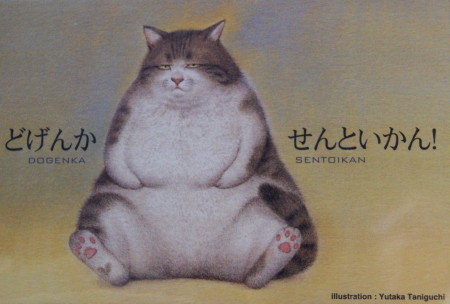 【話題】 ど げんか せん と いかん ファン必見の最新情報 #761