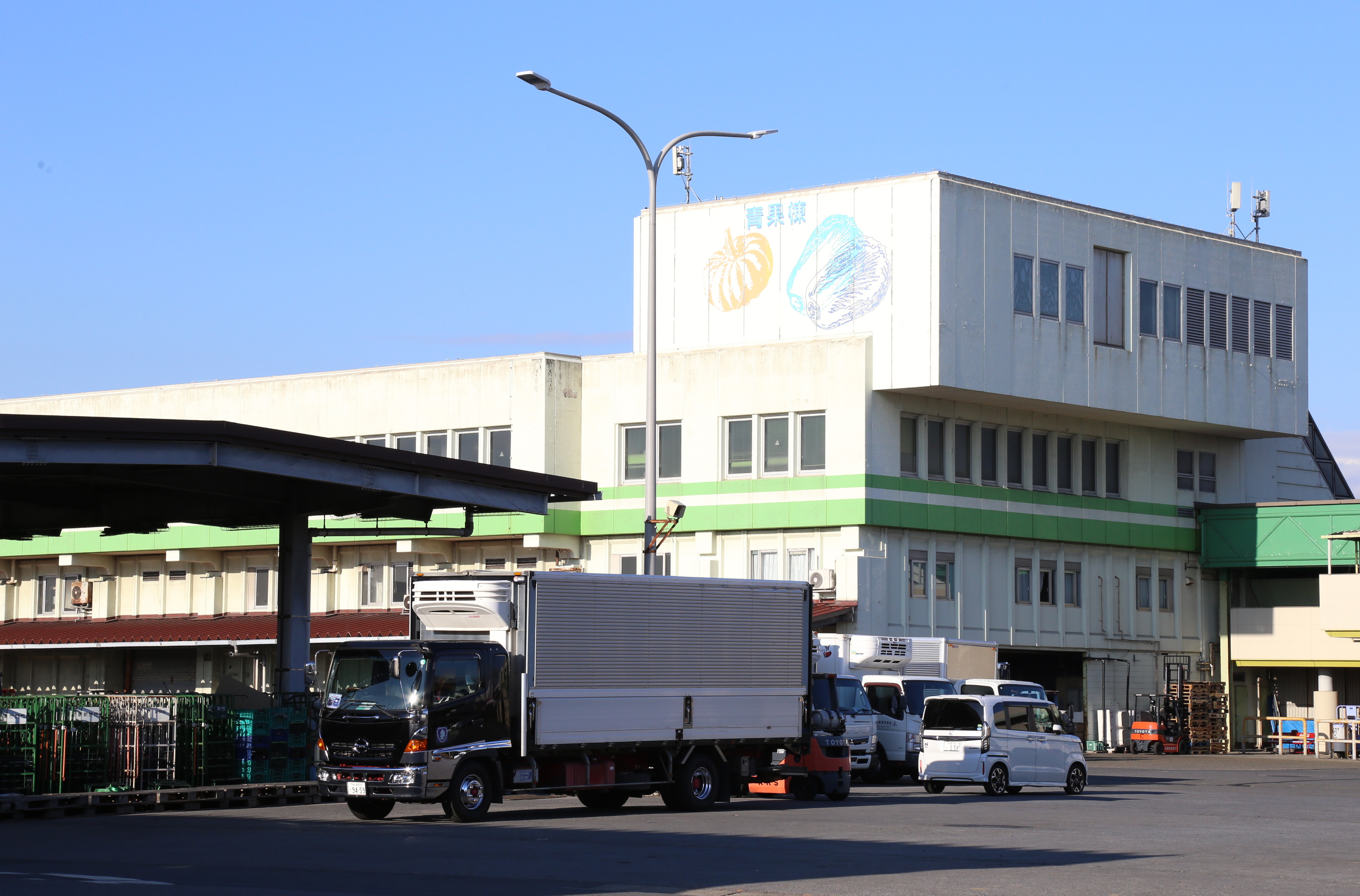 千葉市地方卸売市場は一般人も利用可能？市民感謝デーと海鮮丼を徹底解剖