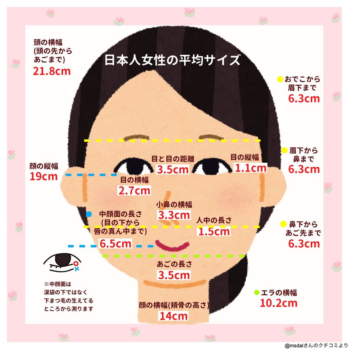 中顔面の長さの平均は何Cm？黄金比の真相と2026年最新短縮術