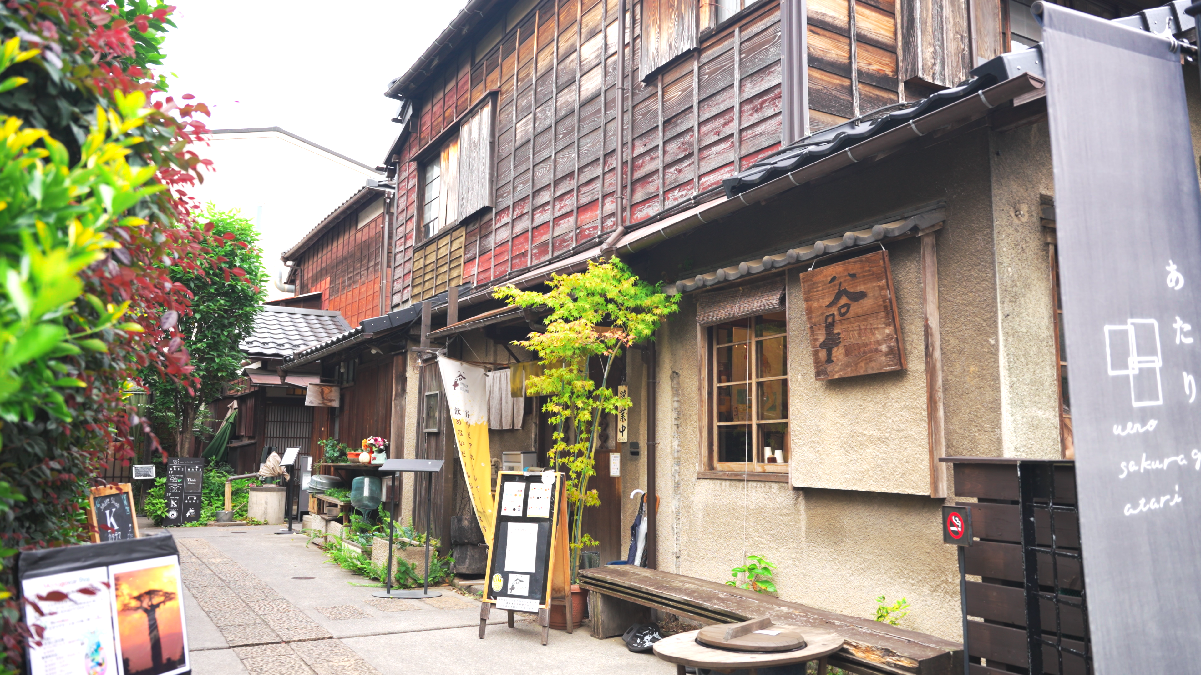 上野桜木あたりの現在地｜昭和古民家再生の魅力と谷根千散策の歩き方