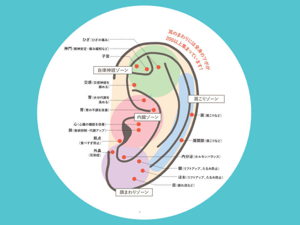 耳つぼで自律神経は整うのか？不眠・ストレスに効く決定的なツボと正しい刺激法