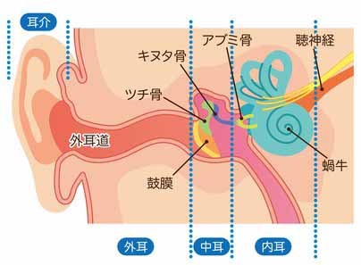 【まとめ】 耳 から 血 ストレス 最新出演情報まとめ #927