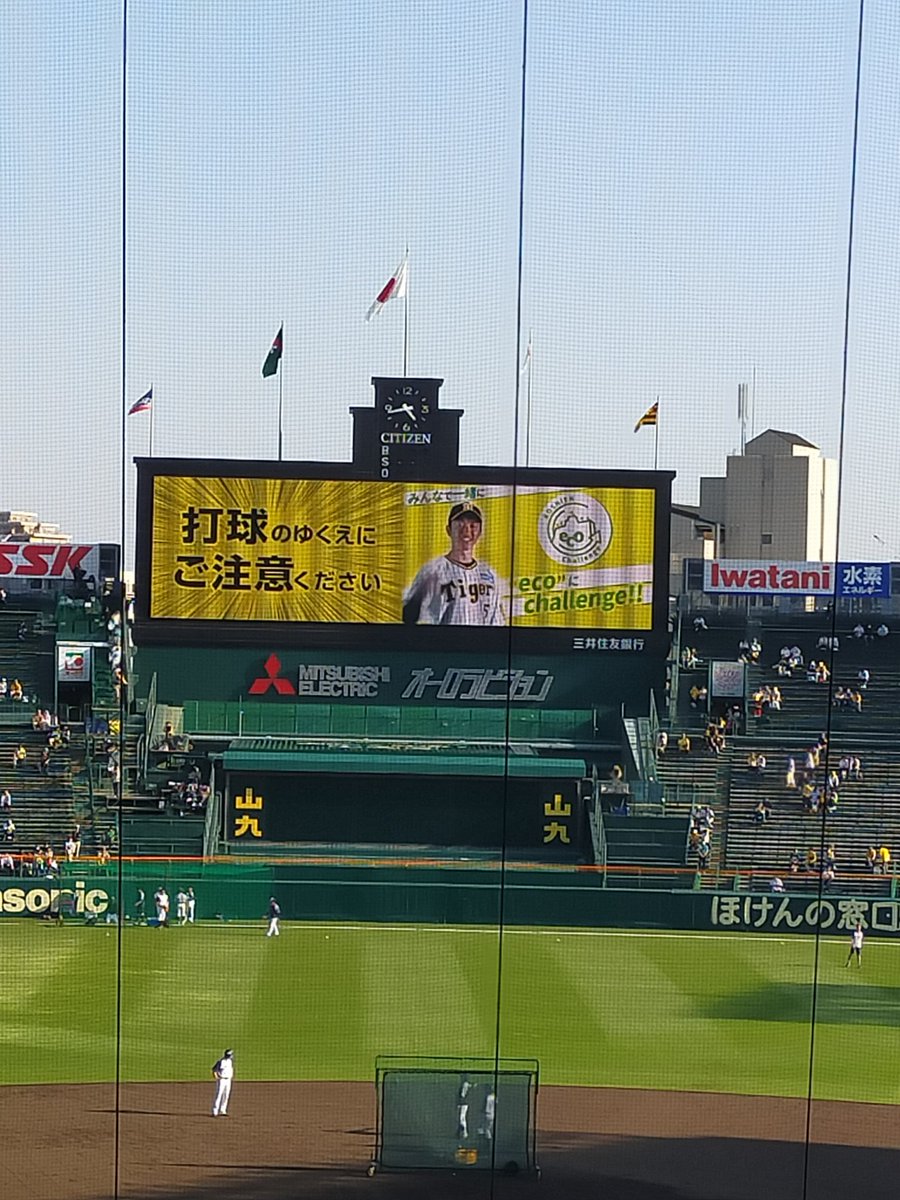 阪神タイガース掲示板が過熱！2026年試合実況とファン本音の真相