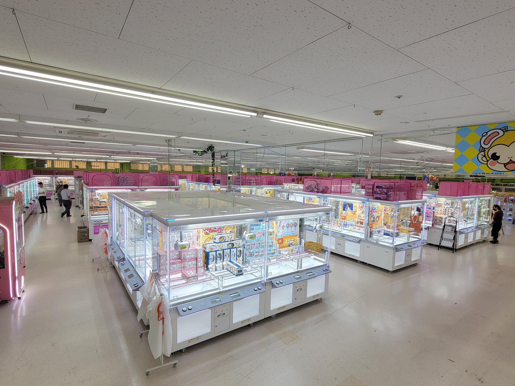 千葉鑑定団酒々井店の買取評判とクレーン設定の真実【2026年徹底調査】