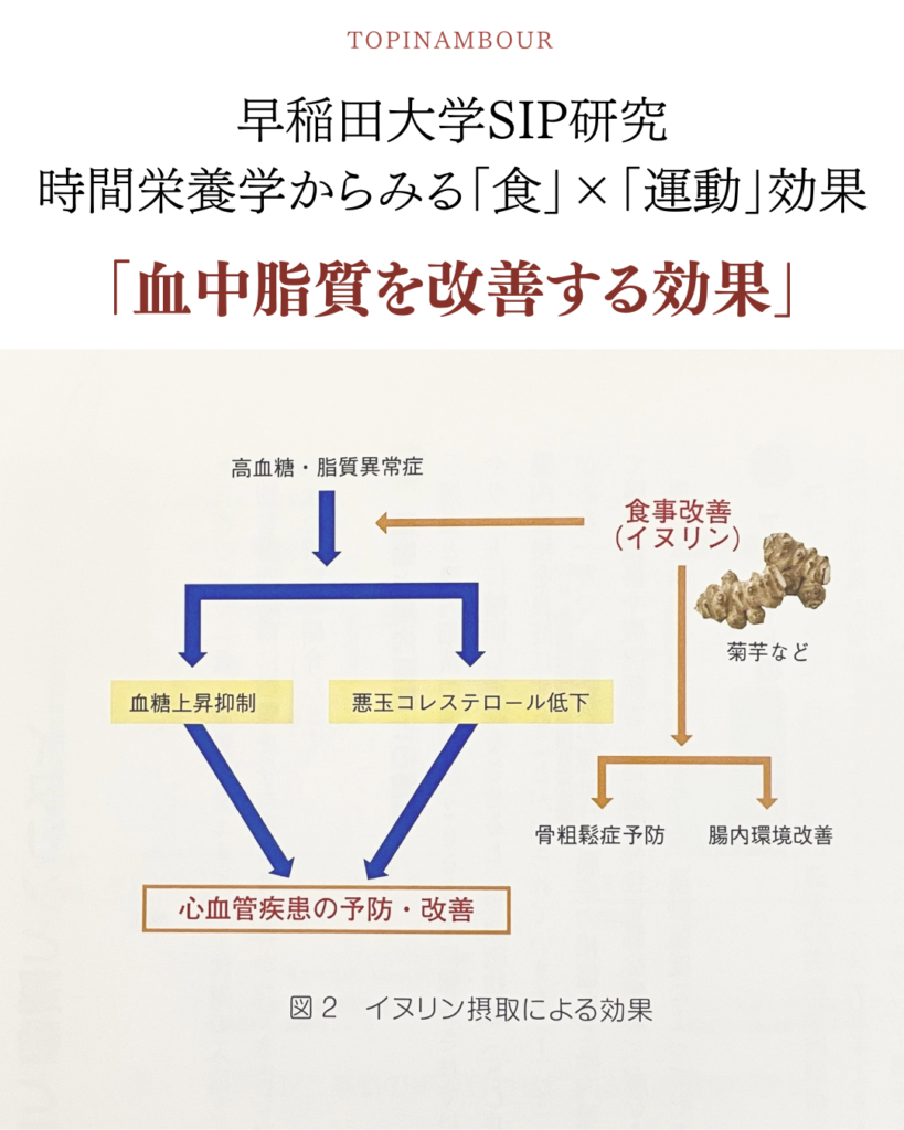 菊芋の効果と副作用を徹底解剖！血糖値を抑える食前摂取の真相