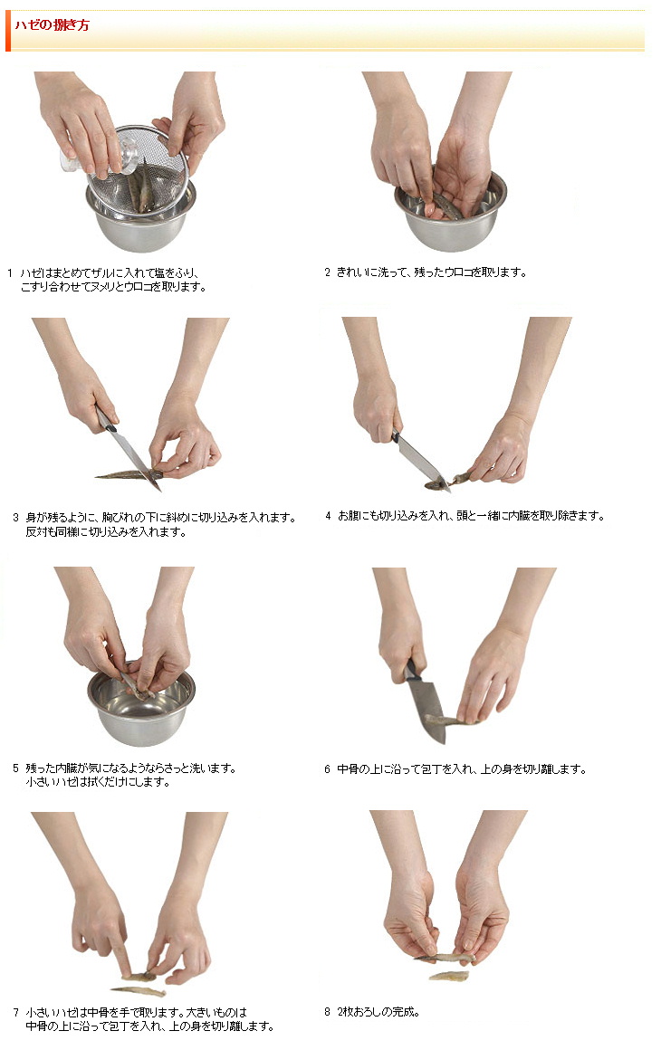 プロ直伝のハゼのさばき方！ぬめり取りから天ぷら・刺身まで徹底解説