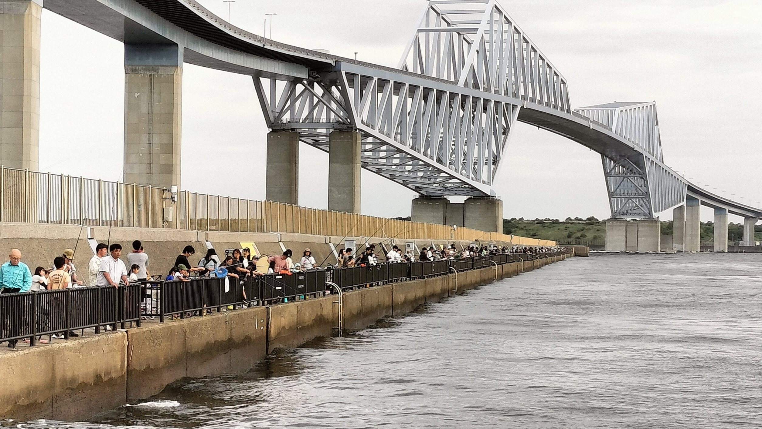 若洲海浜公園海釣り施設の現在！最新釣果・混雑状況と初心者の攻略法