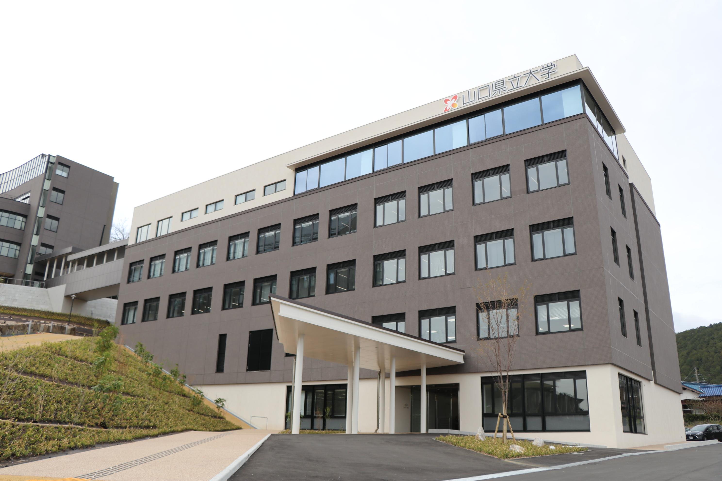 山口県立大学の評判と偏差値の真相｜看護・国際文化の強みと就職実績