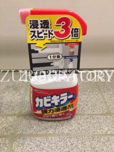 【最新】 タカラ スタンダード 風呂 床 カビ 人気理由と評判まとめ #628