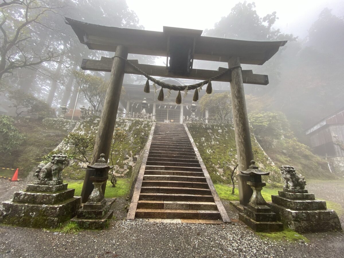 【2026年現地取材】「神に選ばれた者しか辿り着けない」世界遺産・玉置神社で今起きている地殻変動と静寂の闘い