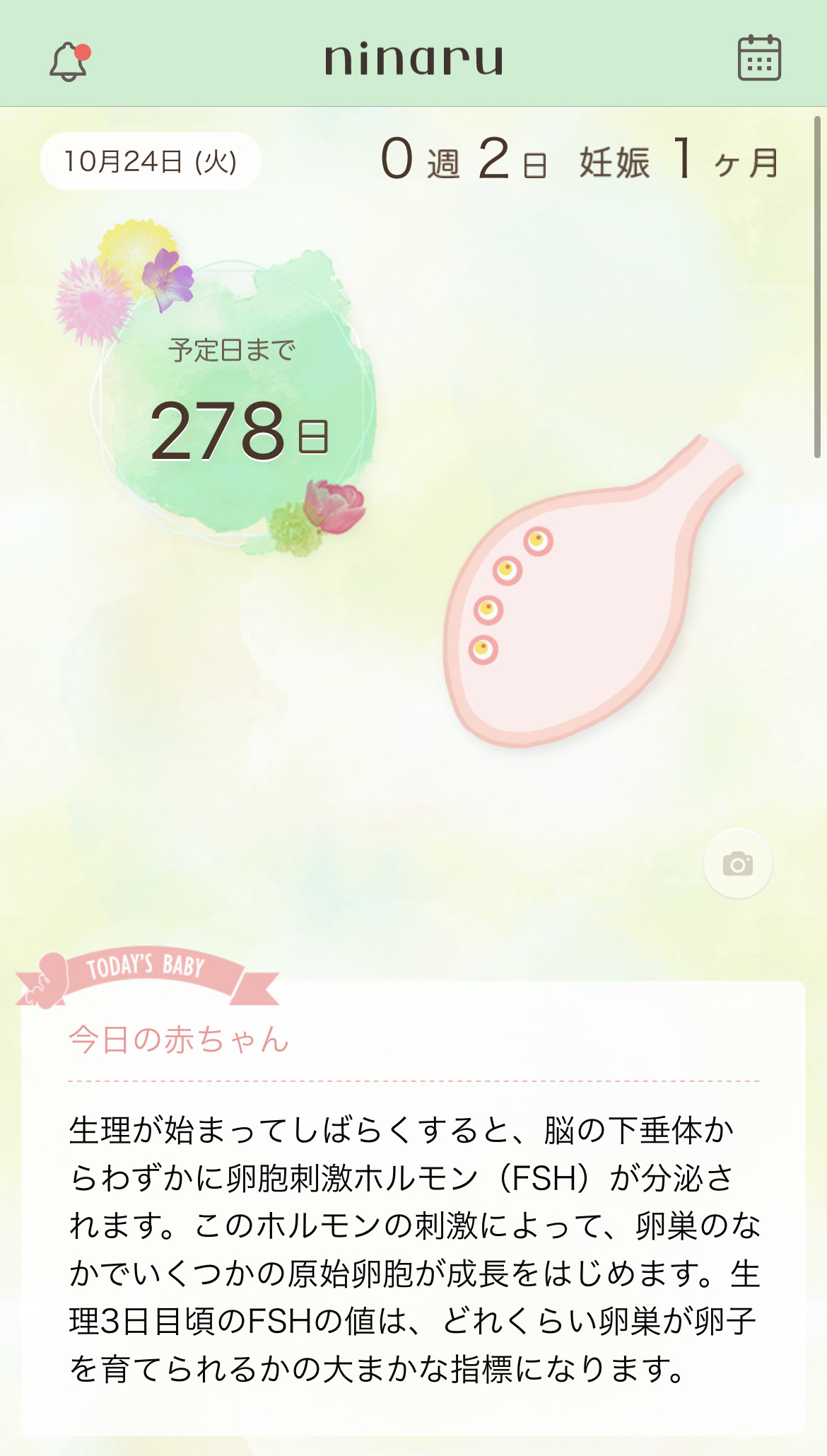 妊娠5週で体温が下がる原因は？流産の兆候や受診の目安を徹底解説