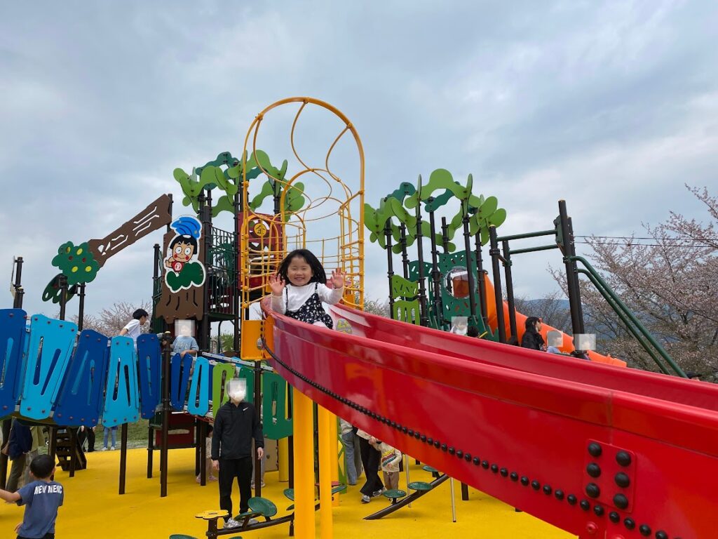 南足柄市運動公園の予約と混雑は？遊具・料金・桜の見頃を完全網羅