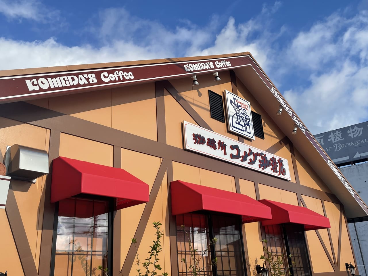 コメダ珈琲店つきみ野の混雑回避とモーニング裏ワザを徹底解説